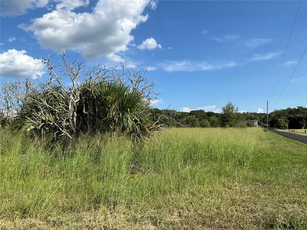 SUNSET HARBOR RD Weirsdale, FL 32195