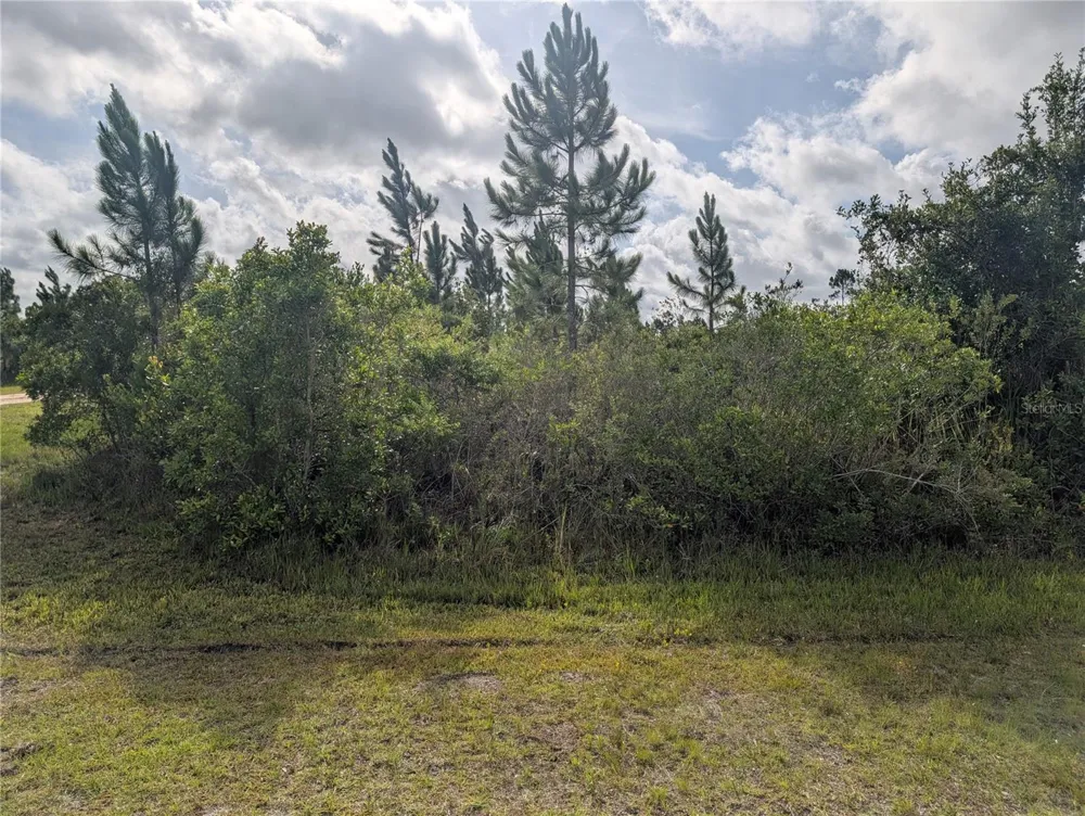 523 BELMONTE DRIVE Indian Lake Estates, FL 33855