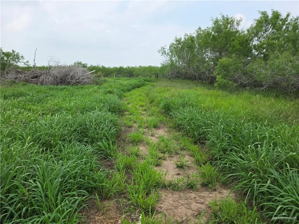 8254 E Monte Cristo Road Edcouch, TX 78538