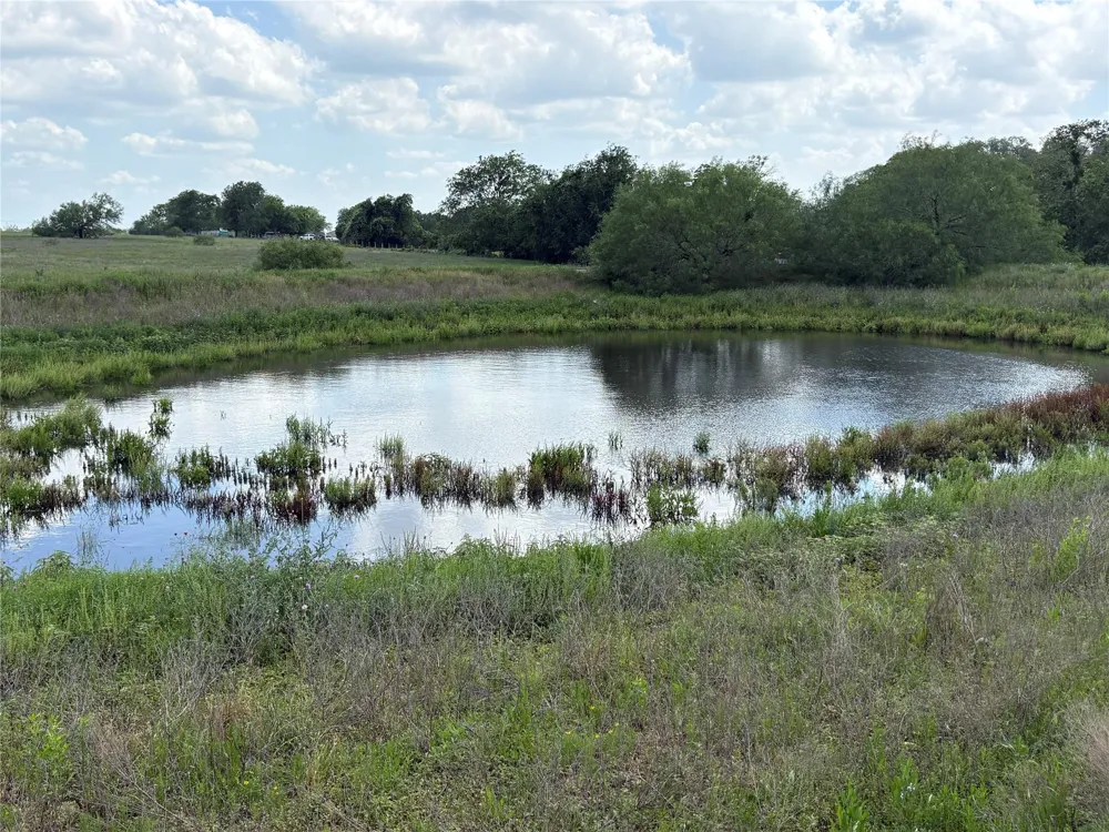 1466 Cr 253 Weimar, TX 78962