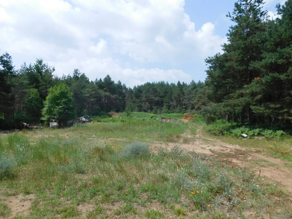 11880 Pine Cove Kingsley, MI 49649