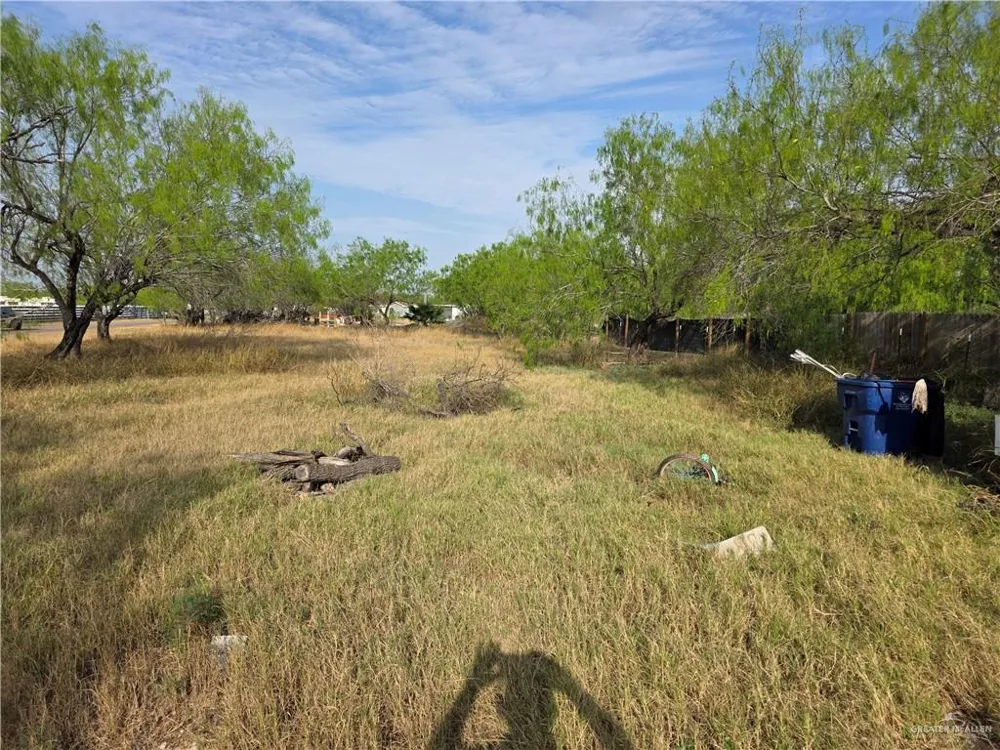 703 E Los Charcos Drive Palmview, TX 78572
