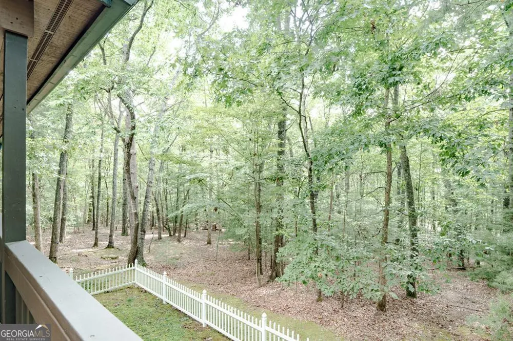 805 Tomahawk TRL Blairsville, GA 30512