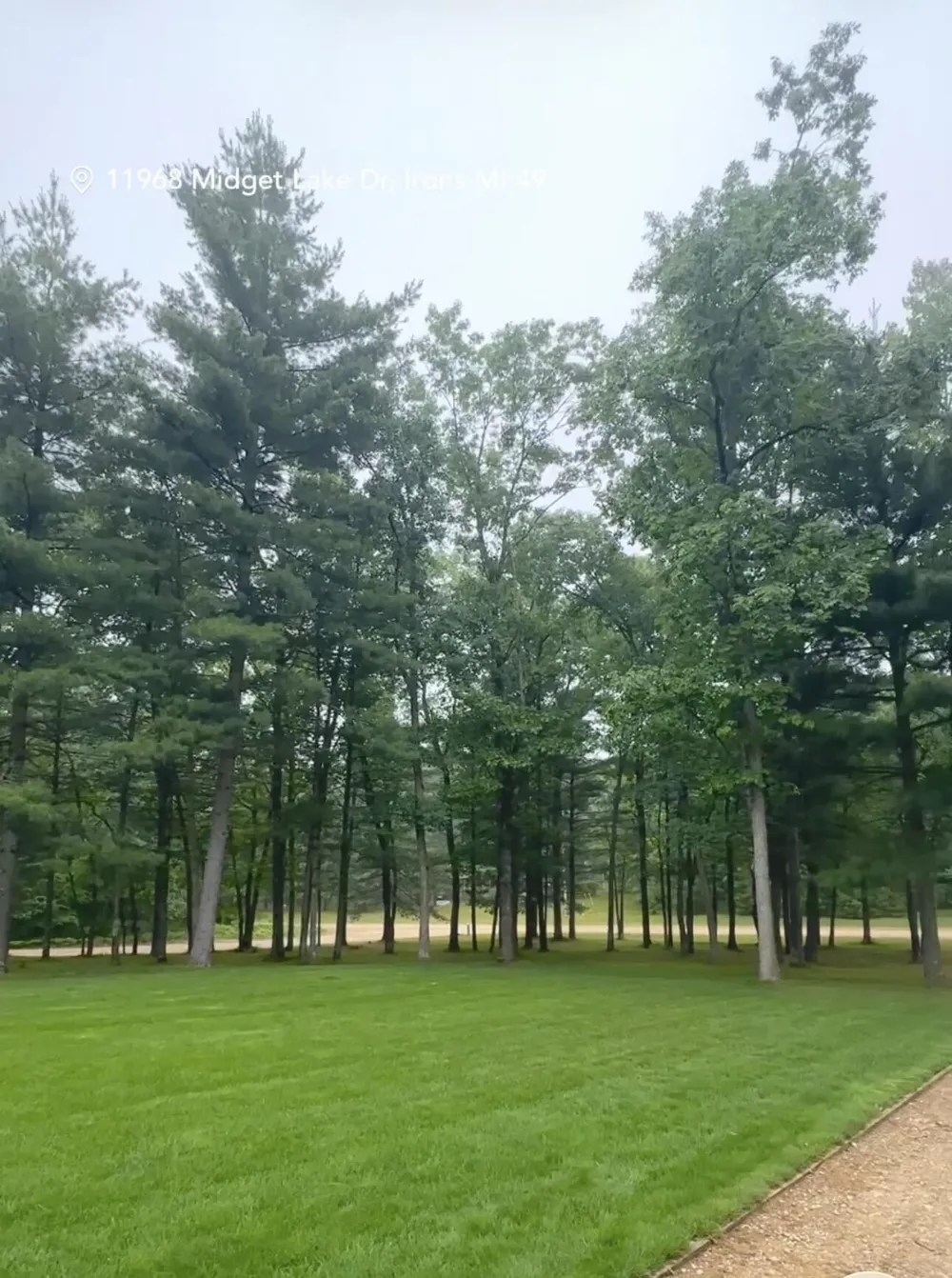 11968 Midget Lake Drive Elk Township, MI 49644