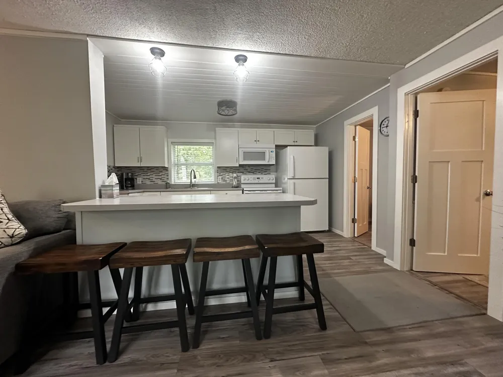 11968 Midget Lake Drive Elk Township, MI 49644