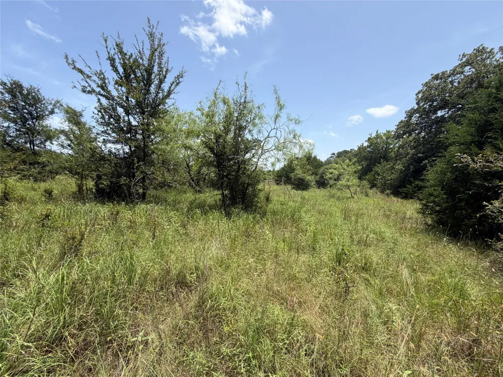 Lcr 758 Thornton, TX 76687