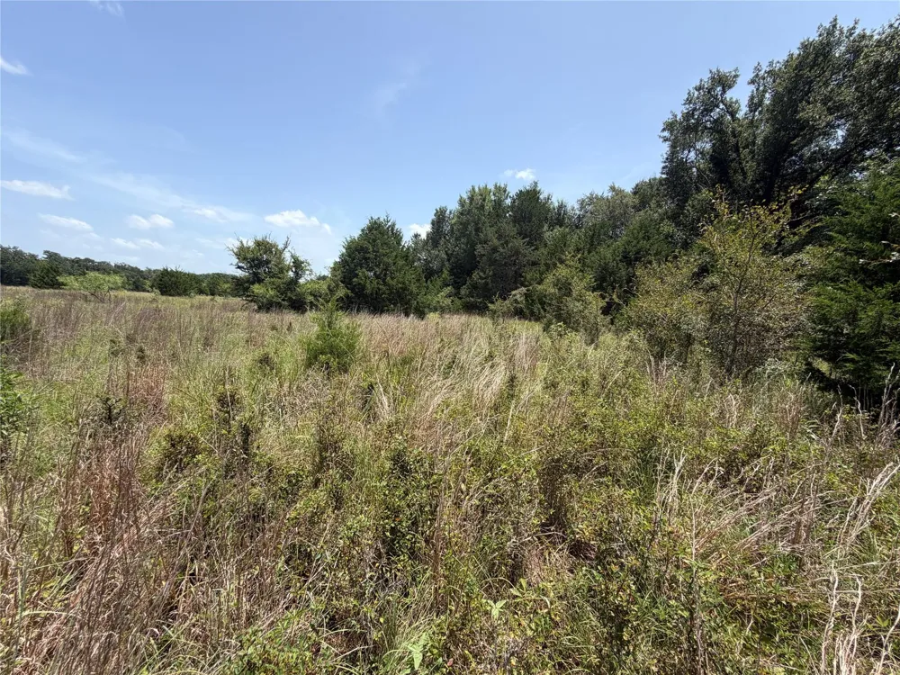 Lcr 758 Thornton, TX 76687