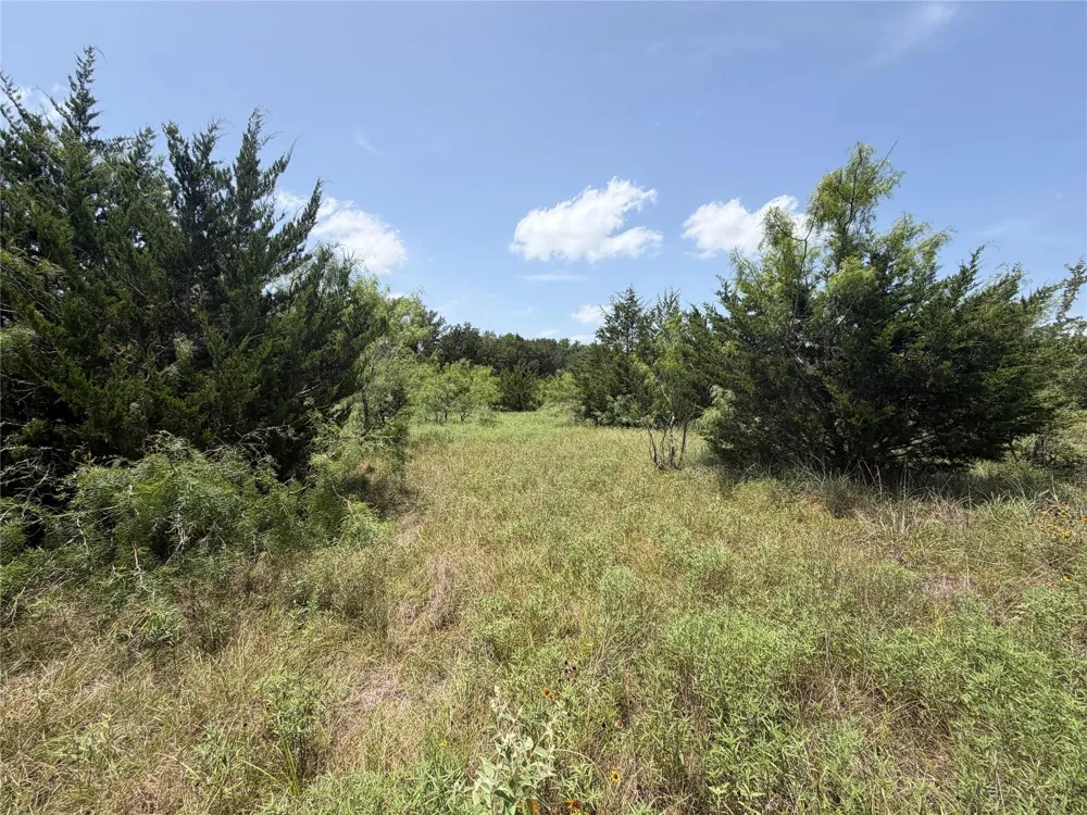 Lcr 758 Thornton, TX 76687