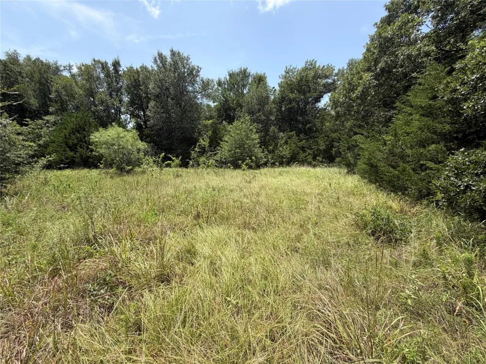 Lcr 758 Thornton, TX 76687