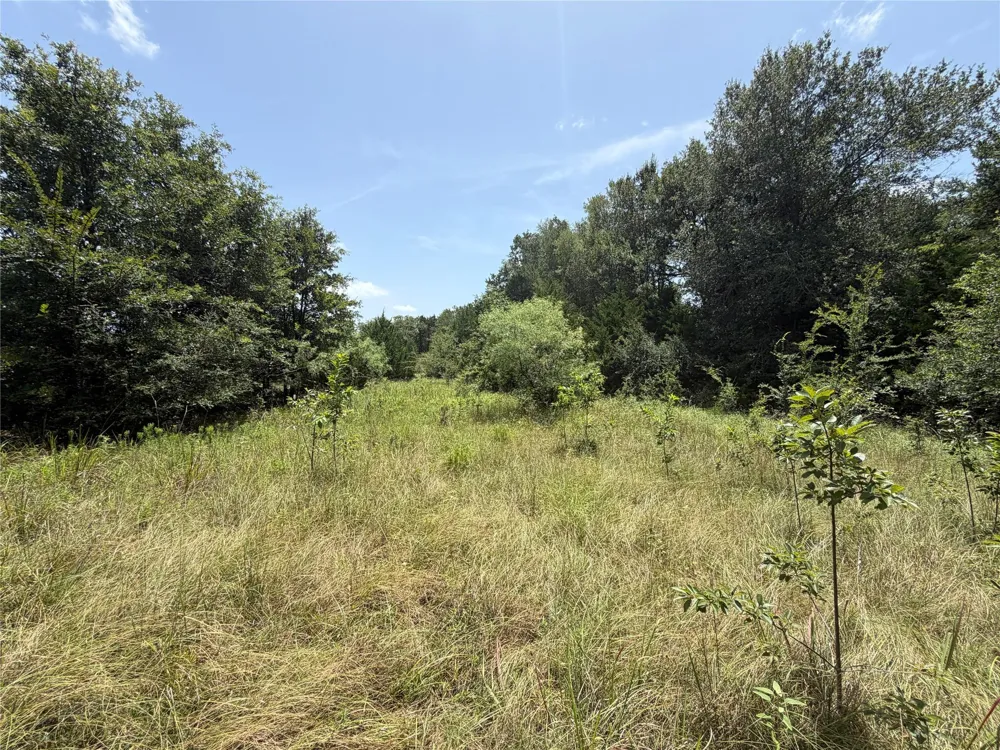 Lcr 758 Thornton, TX 76687