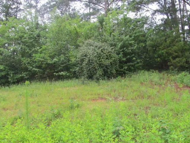 909 Red Fox Court Cataula, GA 31804