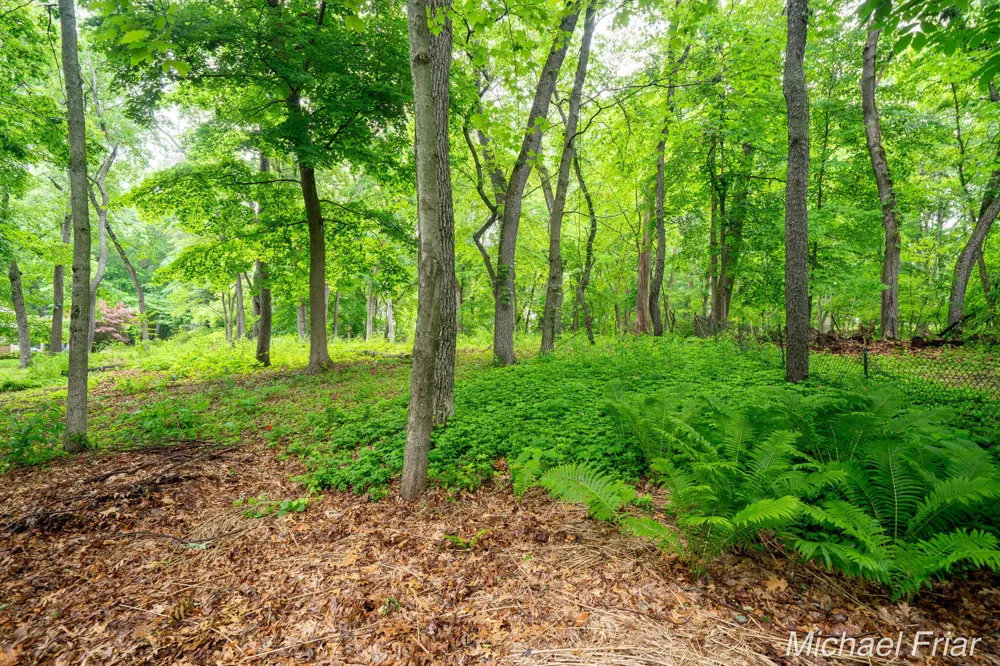 2700 Shadowbrook Drive SE Cascade Charter Township, MI 49546