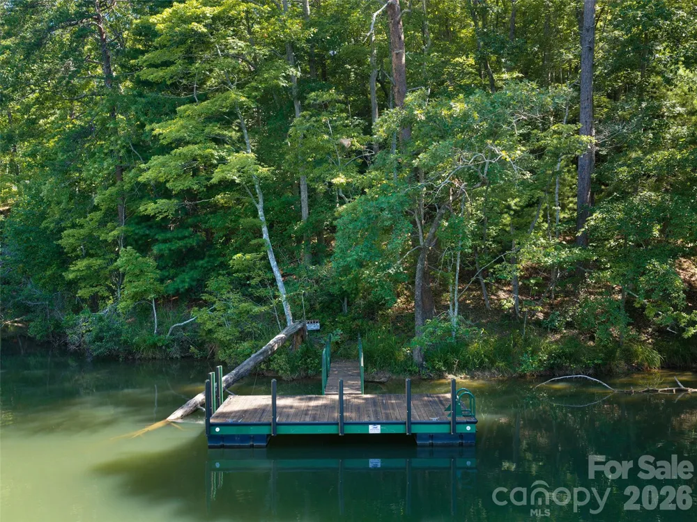 Lot #13 South Cove Road Mill Spring, NC 28756