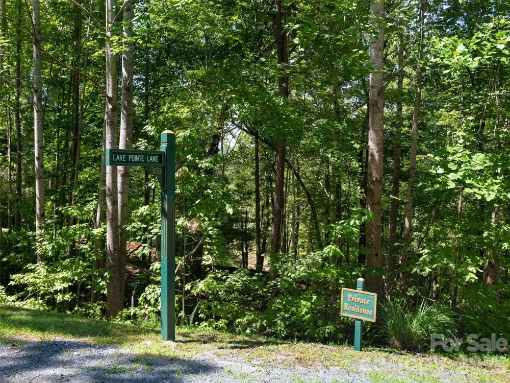 Lot #13 South Cove Road Mill Spring, NC 28756