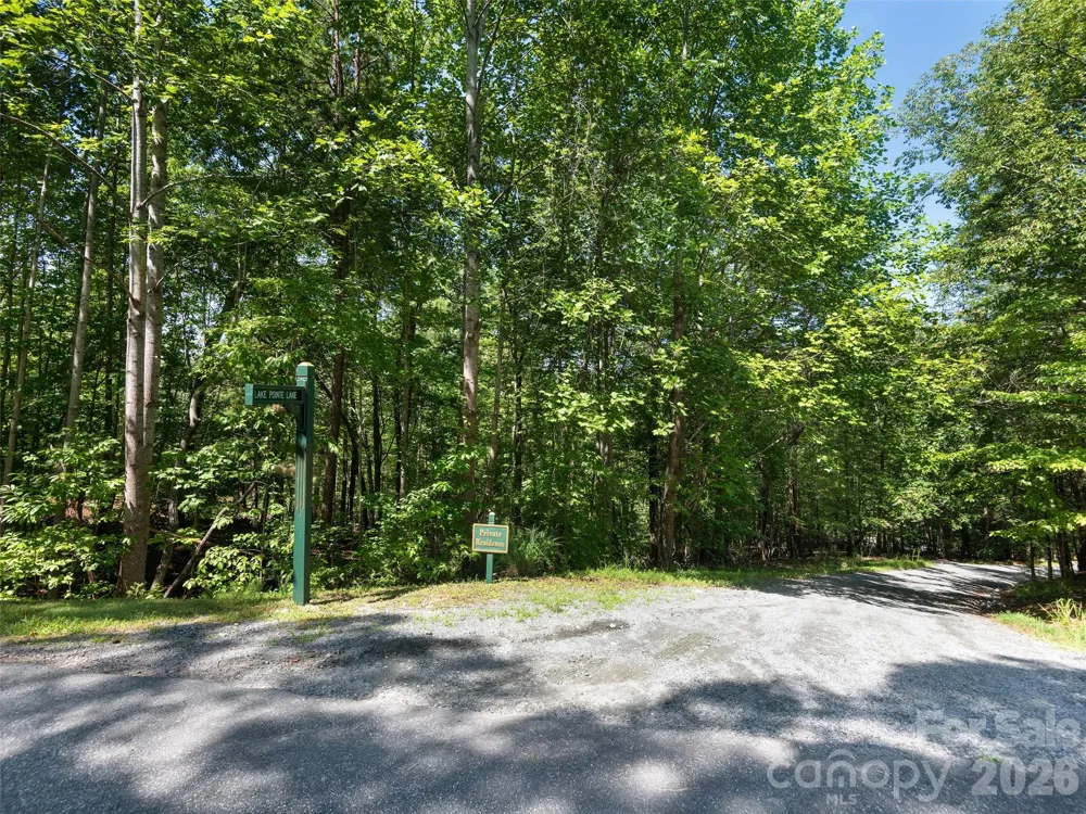 Lot #13 South Cove Road Mill Spring, NC 28756