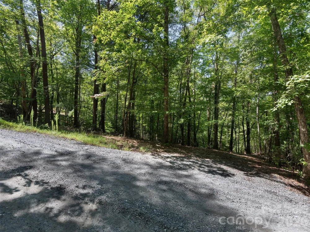 Lot #13 South Cove Road Mill Spring, NC 28756