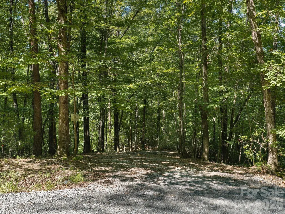 Lot #13 South Cove Road Mill Spring, NC 28756