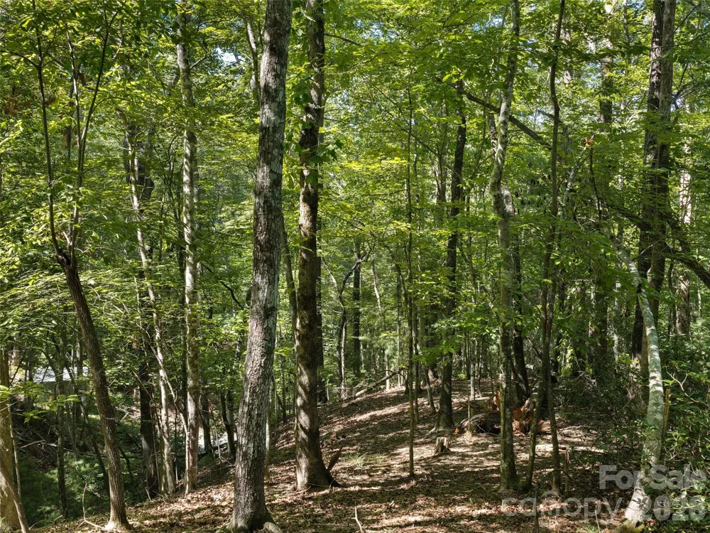Lot #13 South Cove Road Mill Spring, NC 28756