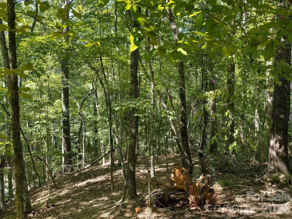 Lot #13 South Cove Road Mill Spring, NC 28756