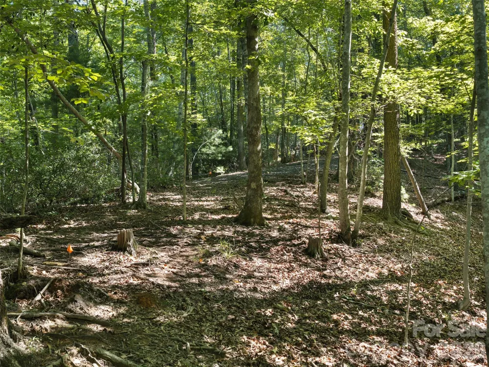 Lot #13 South Cove Road Mill Spring, NC 28756