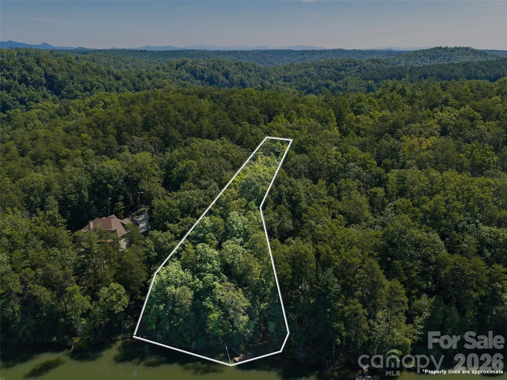 Lot #13 South Cove Road Mill Spring, NC 28756