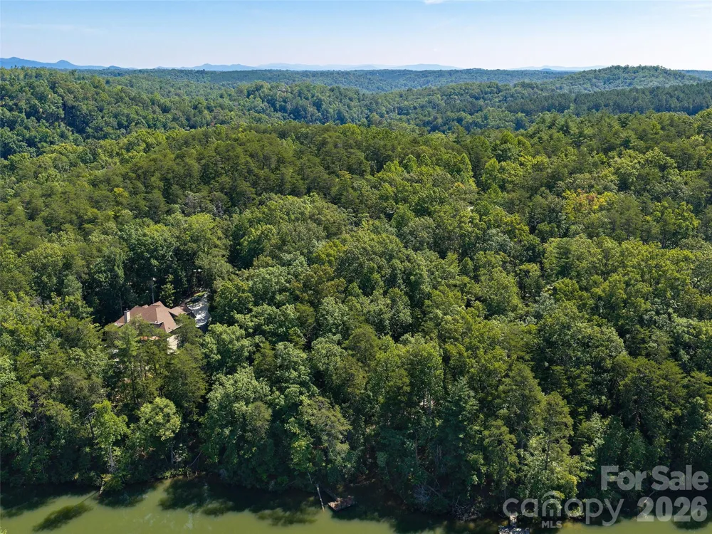 Lot #13 South Cove Road Mill Spring, NC 28756
