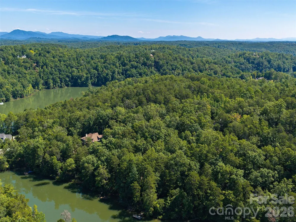 Lot #13 South Cove Road Mill Spring, NC 28756