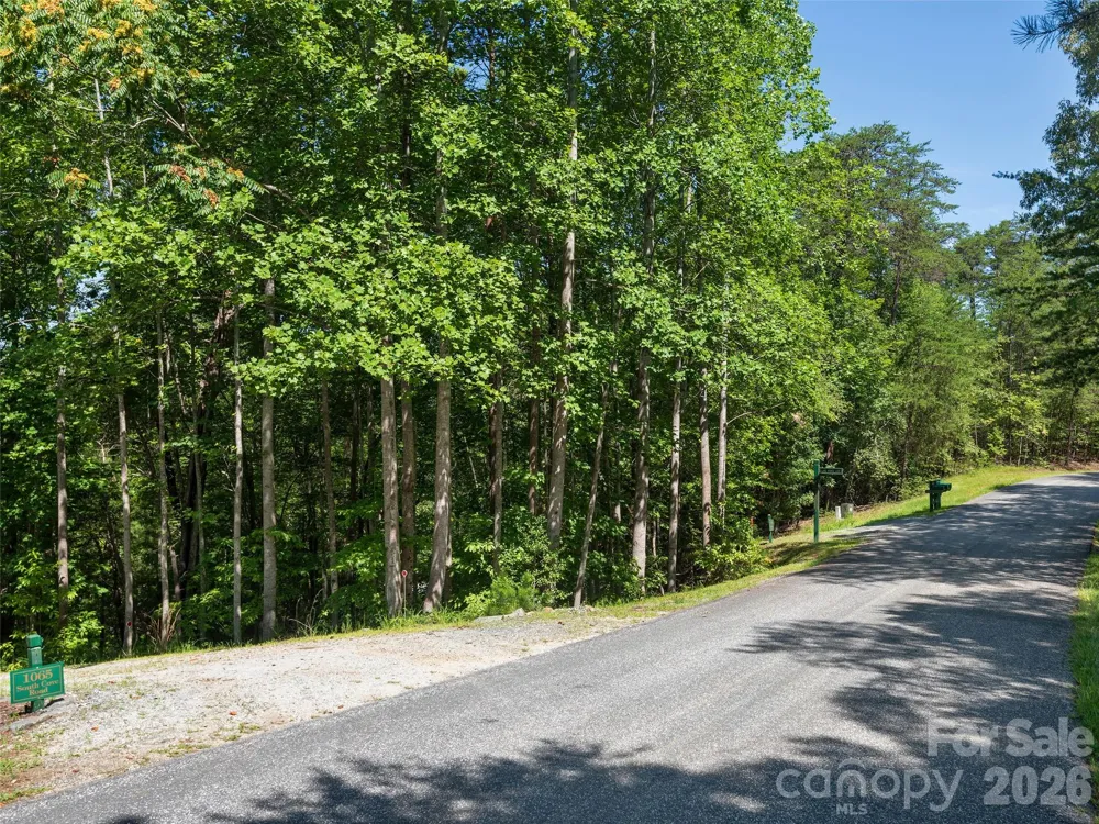 Lot #13 South Cove Road Mill Spring, NC 28756