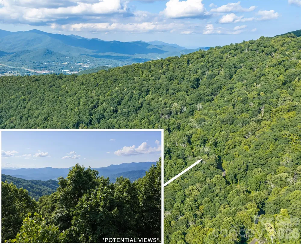 1043 Moss Creek Lane #69 Swannanoa, NC 28778