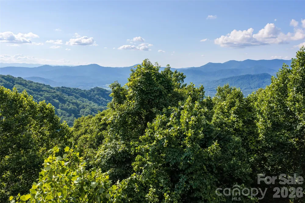 1043 Moss Creek Lane #69 Swannanoa, NC 28778