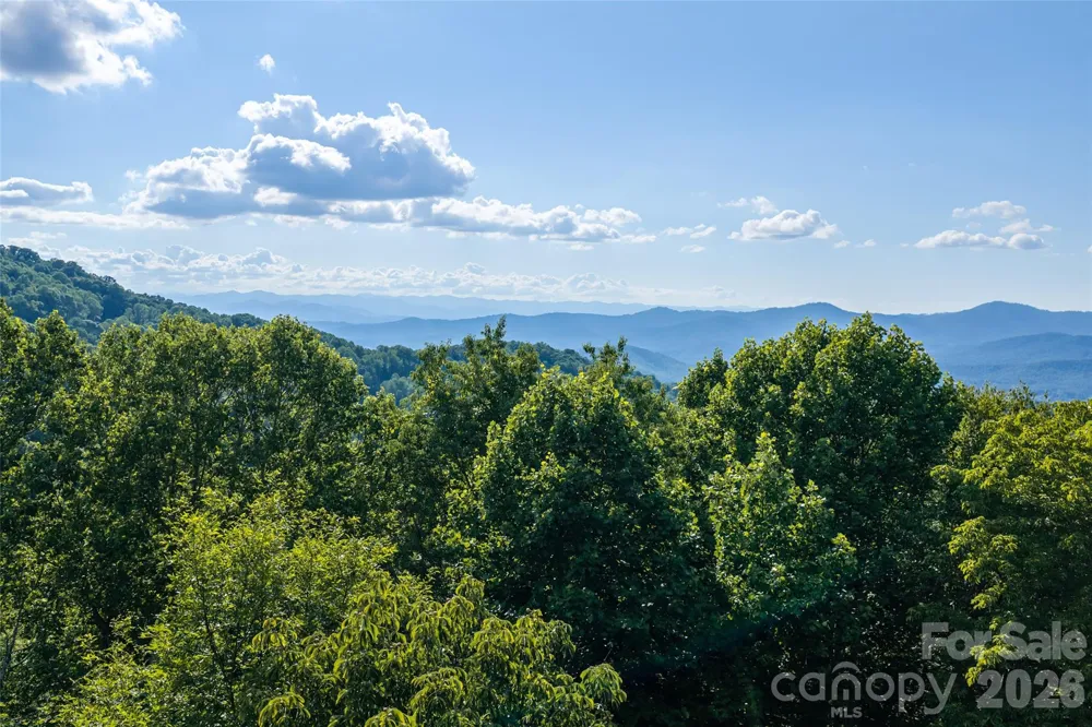 1043 Moss Creek Lane #69 Swannanoa, NC 28778