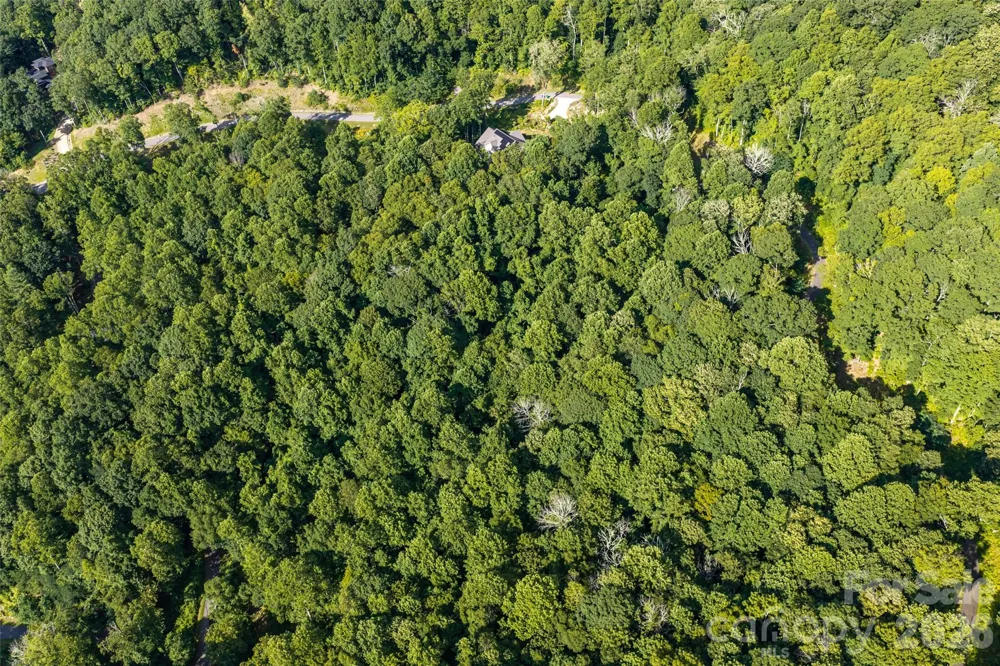 1043 Moss Creek Lane #69 Swannanoa, NC 28778