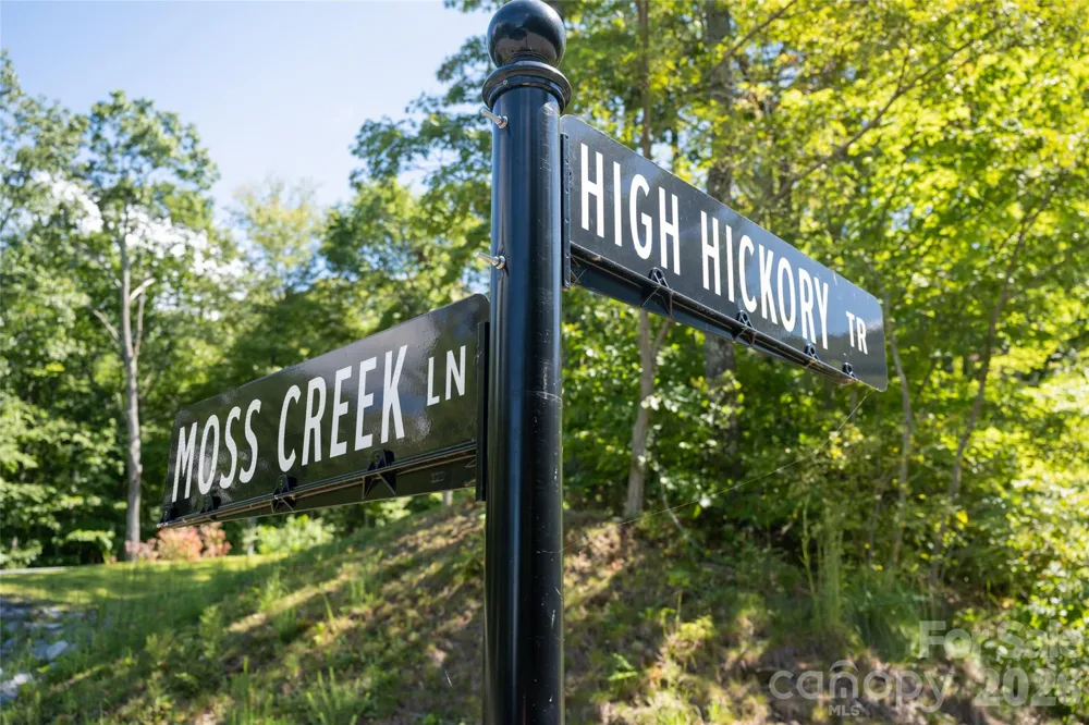 1043 Moss Creek Lane #69 Swannanoa, NC 28778