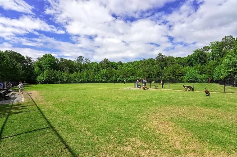 115 Owls Brow Big Canoe, GA 30143