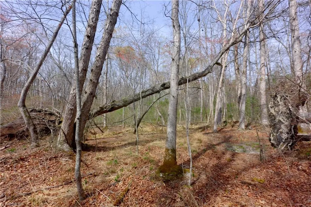 0 Johnson Farm Road #1 Pilot Mountain, NC 27041