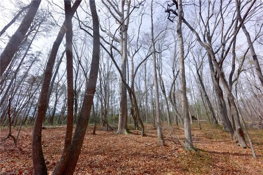 0 Johnson Farm Road #1 Pilot Mountain, NC 27041