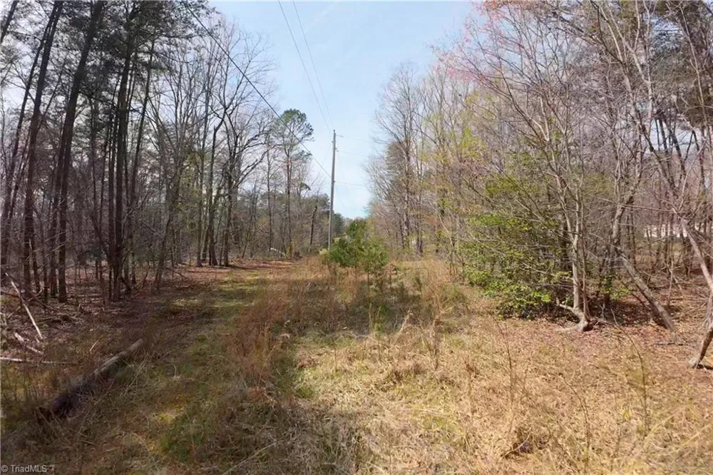 0 Johnson Farm Road #1 Pilot Mountain, NC 27041