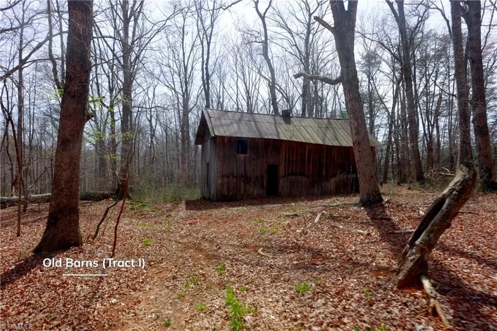 0 Johnson Farm Road #1 Pilot Mountain, NC 27041