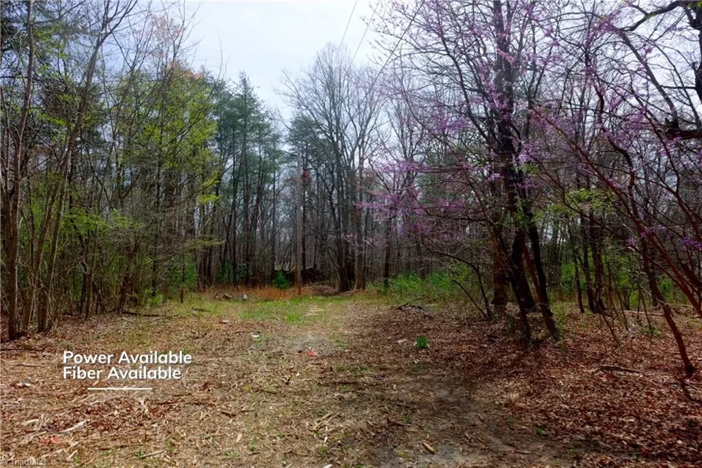 0 Johnson Farm Road #1 Pilot Mountain, NC 27041