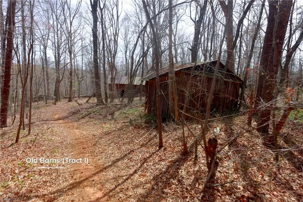 0 Johnson Farm Road #1 Pilot Mountain, NC 27041