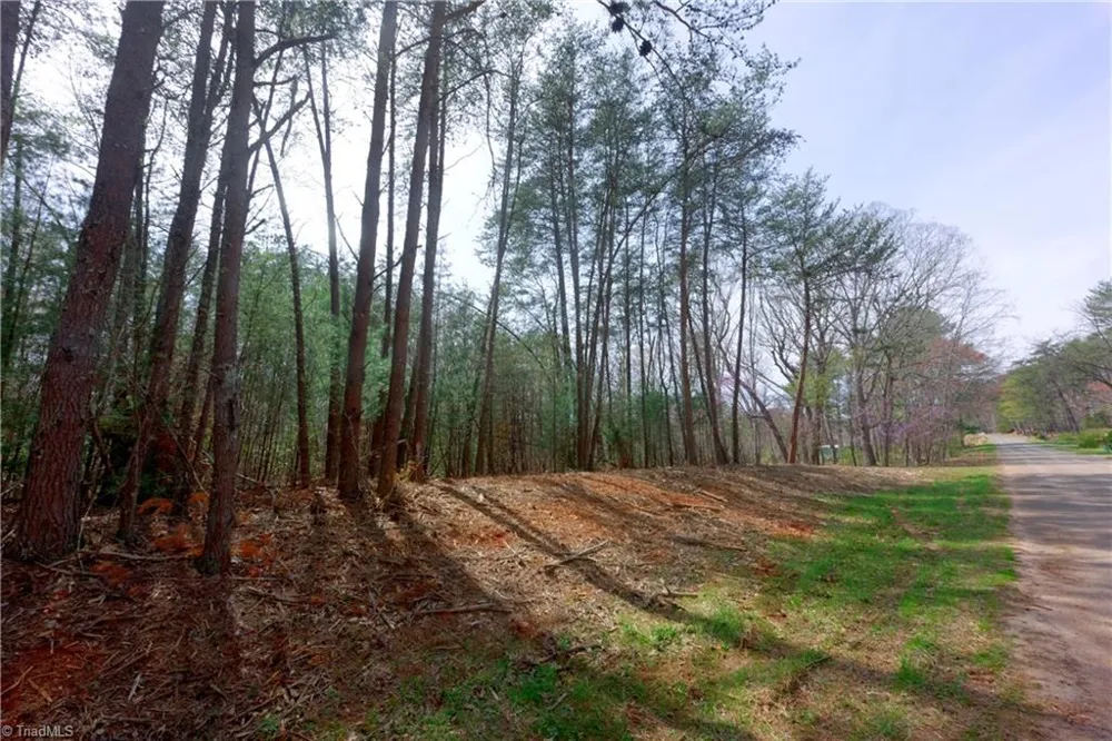 0 Johnson Farm Road #1 Pilot Mountain, NC 27041