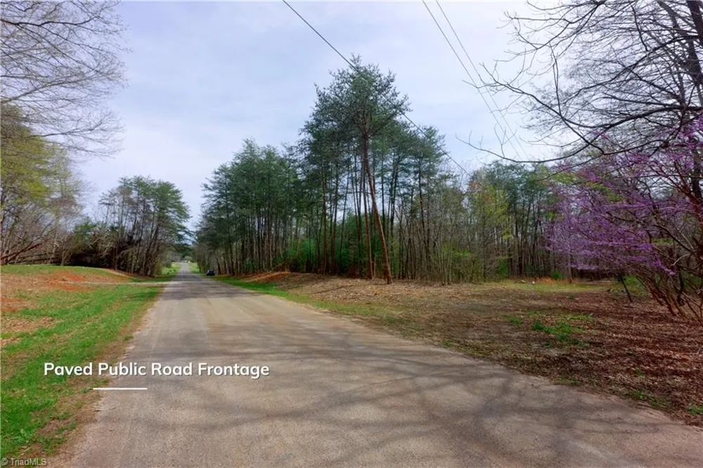 0 Johnson Farm Road #1 Pilot Mountain, NC 27041