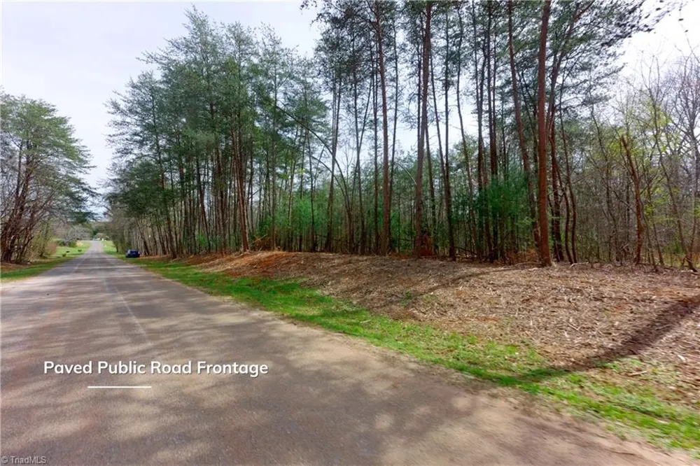 0 Johnson Farm Road #1 Pilot Mountain, NC 27041