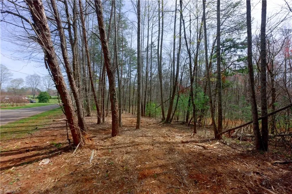 0 Johnson Farm Road #1 Pilot Mountain, NC 27041