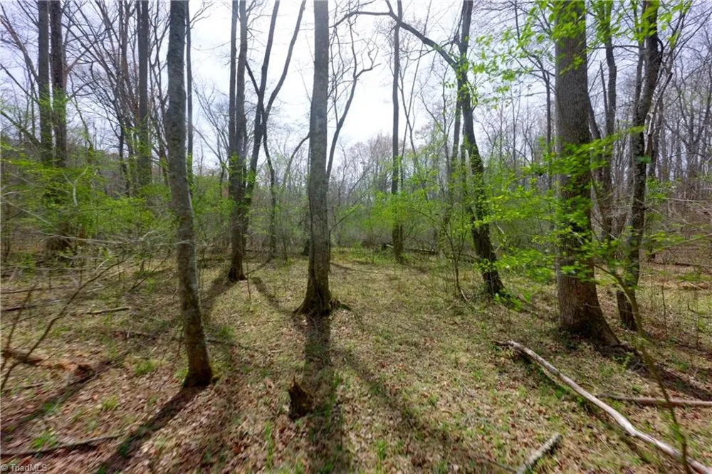 0 Johnson Farm Road #1 Pilot Mountain, NC 27041