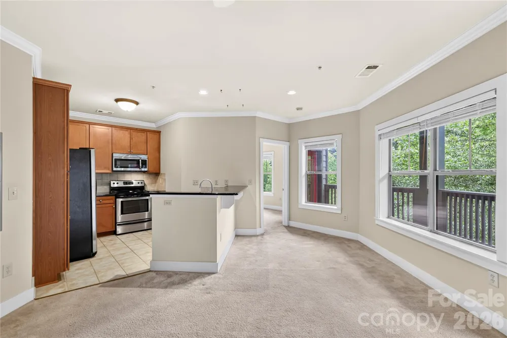9 Kenilworth Knolls #303 Asheville, NC 28805