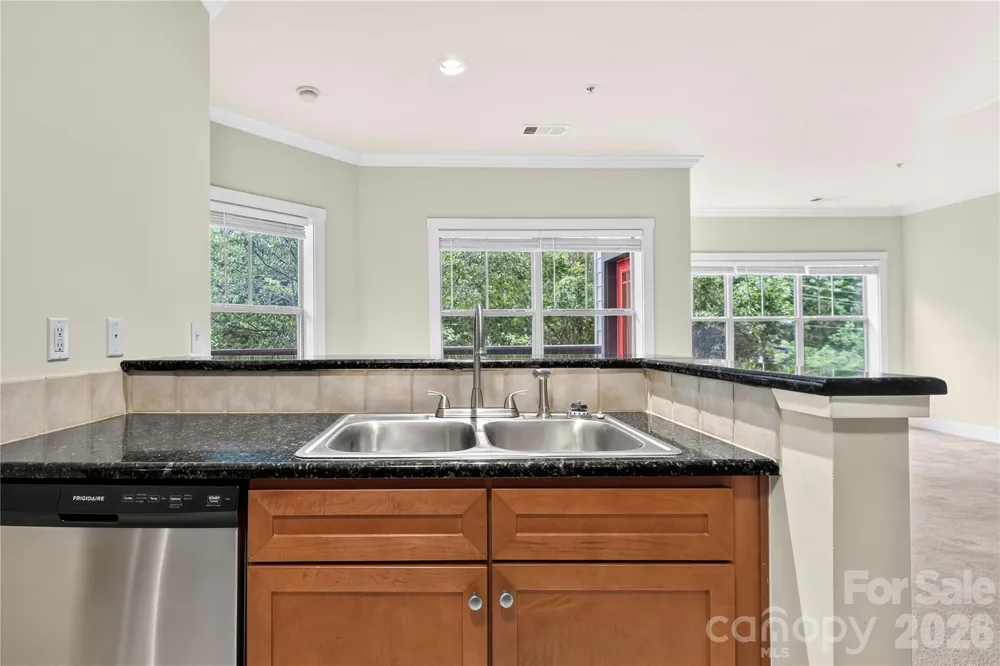 9 Kenilworth Knolls #303 Asheville, NC 28805