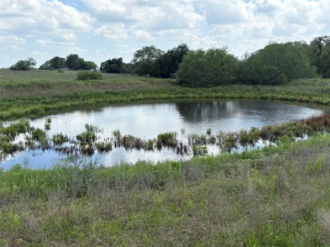 1466 County Road 253a