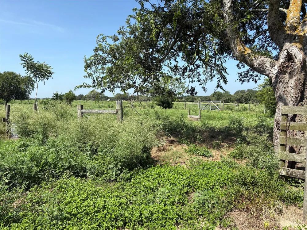 1466 County Road 253a Weimar, TX 78956