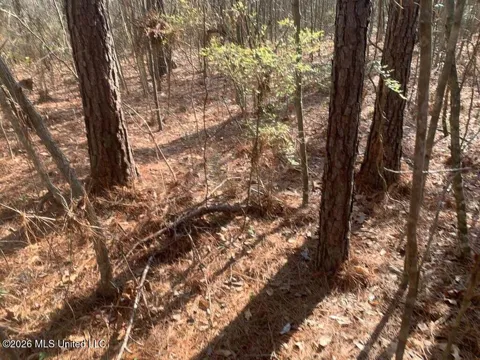 00 Pine Grove Lane